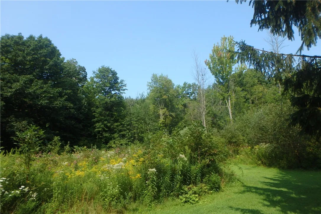 0 Fair Haven Road, Sterling, New York 13156, Sterling, New York 13156, ,Land,Closed,0 Fair Haven Road, Sterling, New York 13156,0,R1560208