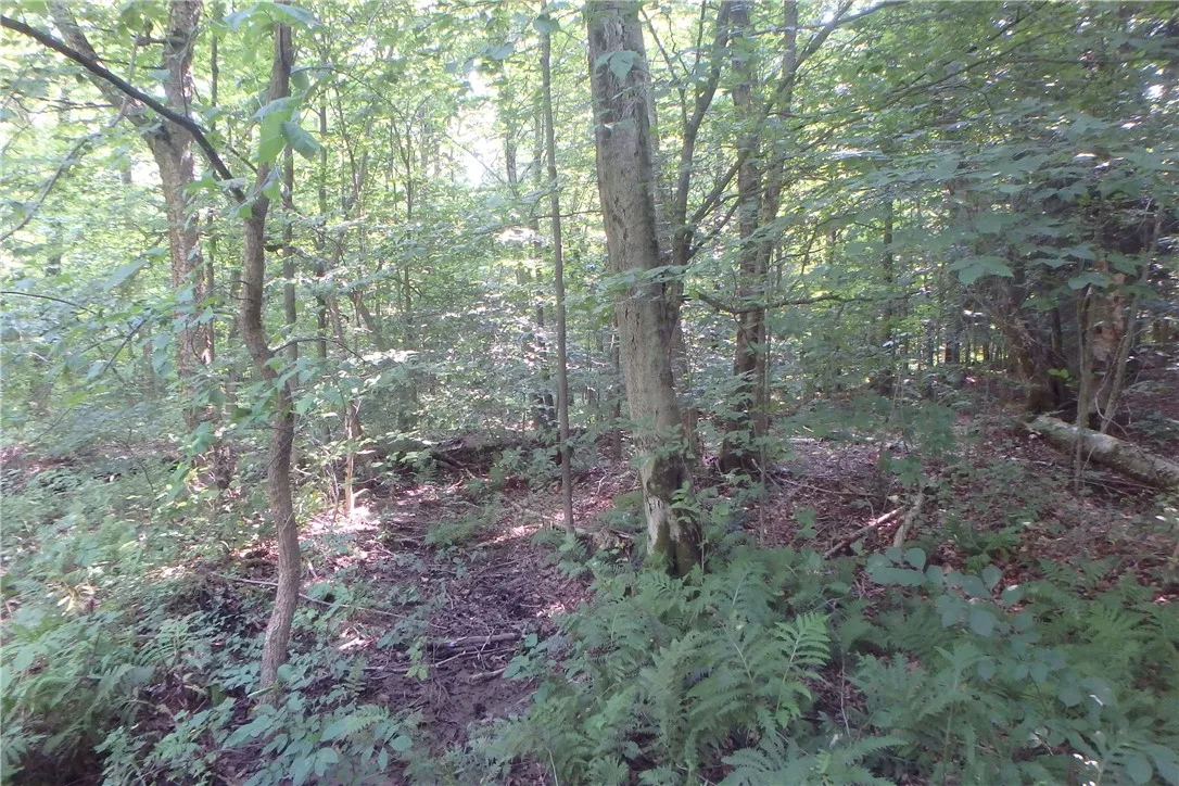 0 Fair Haven Road, Sterling, New York 13156, Sterling, New York 13156, ,Land,Closed,0 Fair Haven Road, Sterling, New York 13156,0,R1560208
