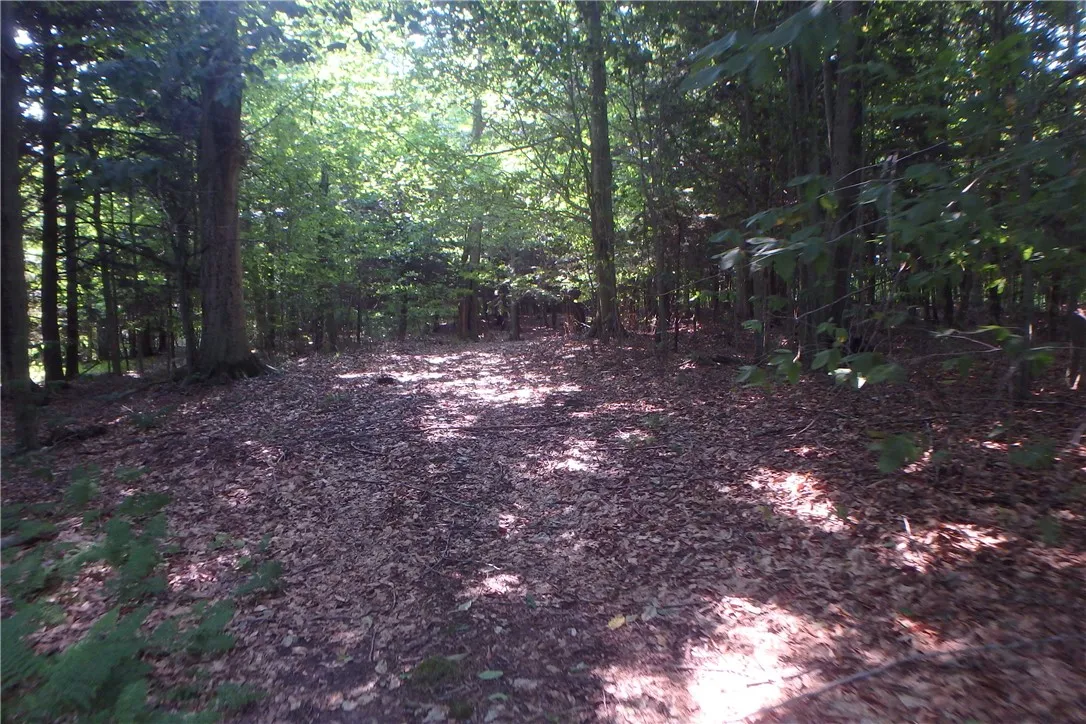 0 Fair Haven Road, Sterling, New York 13156, Sterling, New York 13156, ,Land,Closed,0 Fair Haven Road, Sterling, New York 13156,0,R1560208