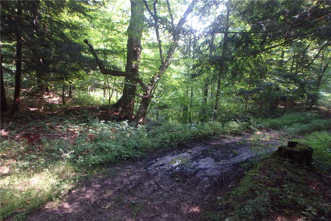 0 Fair Haven Road, Sterling, New York 13156, Sterling, New York 13156, ,Land,Closed,0 Fair Haven Road, Sterling, New York 13156,0,R1560208