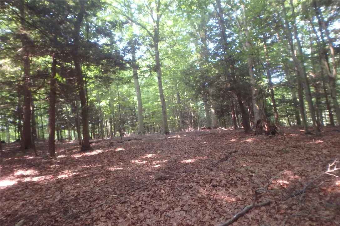 0 Fair Haven Road, Sterling, New York 13156, Sterling, New York 13156, ,Land,Closed,0 Fair Haven Road, Sterling, New York 13156,0,R1560208
