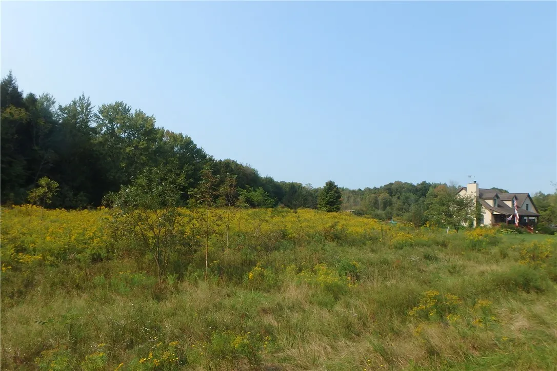 0 Fair Haven Road, Sterling, New York 13156, Sterling, New York 13156, ,Land,Closed,0 Fair Haven Road, Sterling, New York 13156,0,R1560208