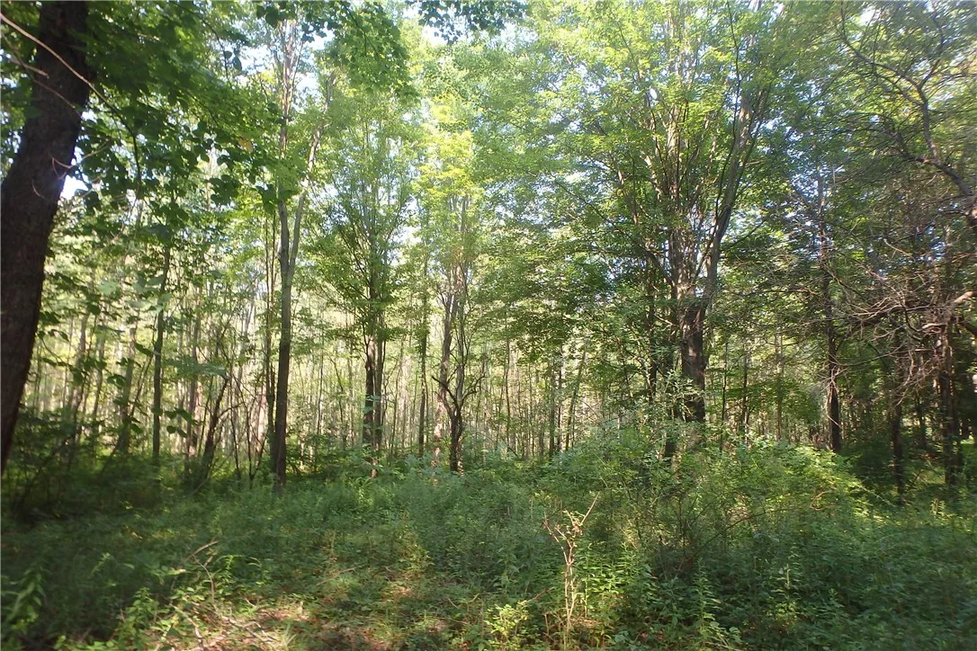 0 Fair Haven Road, Sterling, New York 13156, Sterling, New York 13156, ,Land,Closed,0 Fair Haven Road, Sterling, New York 13156,0,R1560208