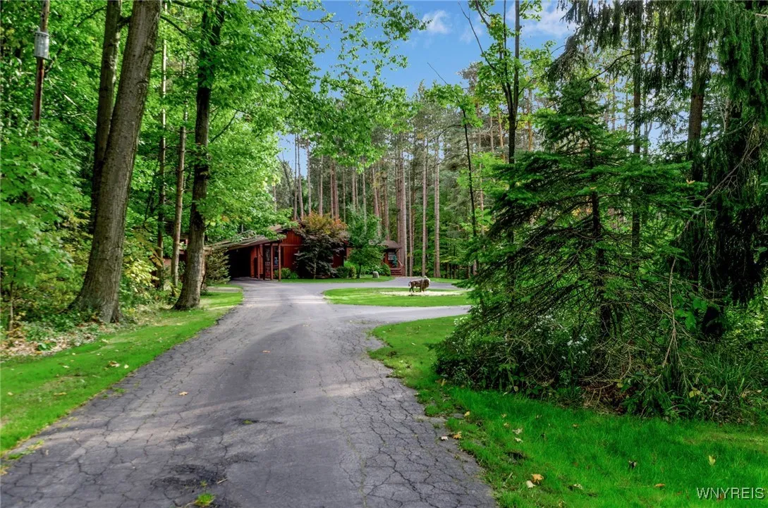 6069 Bunting Road, Orchard Park, New York 14127, Orchard Park, New York 14127, 5 Bedrooms Bedrooms, 12 Rooms Rooms,3 BathroomsBathrooms,Residential,Closed,6069 Bunting Road, Orchard Park, New York 14127,0,B1560388