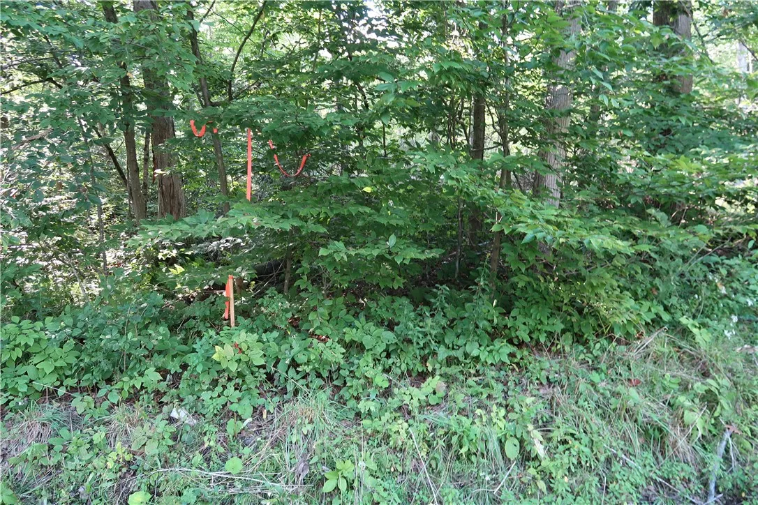 Lot 7 German Road, Willet, New York 13863, Willet, New York 13863, ,Land,Closed,Lot 7 German Road, Willet, New York 13863,R1560544