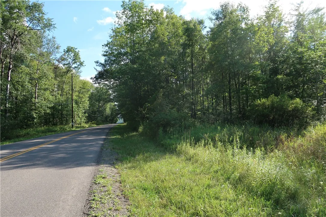 Lot 7 German Road, Willet, New York 13863, Willet, New York 13863, ,Land,Closed,Lot 7 German Road, Willet, New York 13863,R1560544
