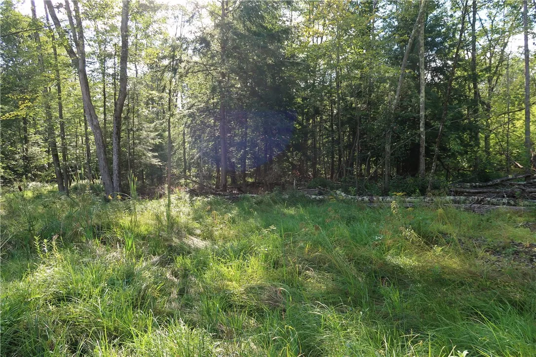 Lot 7 German Road, Willet, New York 13863, Willet, New York 13863, ,Land,Closed,Lot 7 German Road, Willet, New York 13863,R1560544
