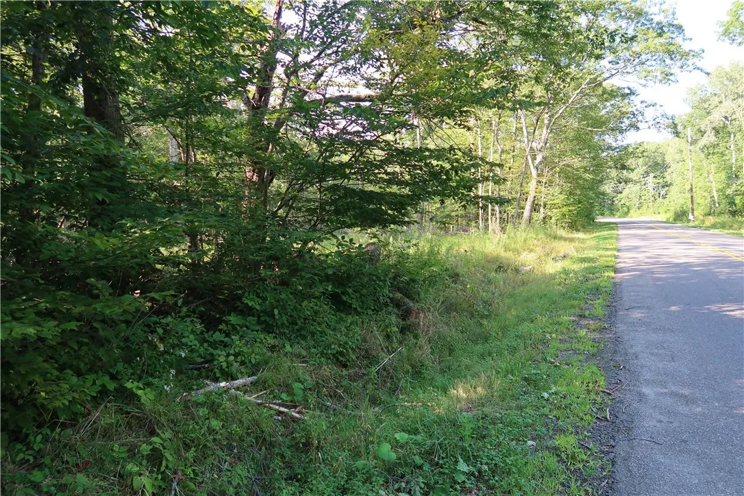 Lot 7 German Road, Willet, New York 13863, Willet, New York 13863, ,Land,Closed,Lot 7 German Road, Willet, New York 13863,R1560544