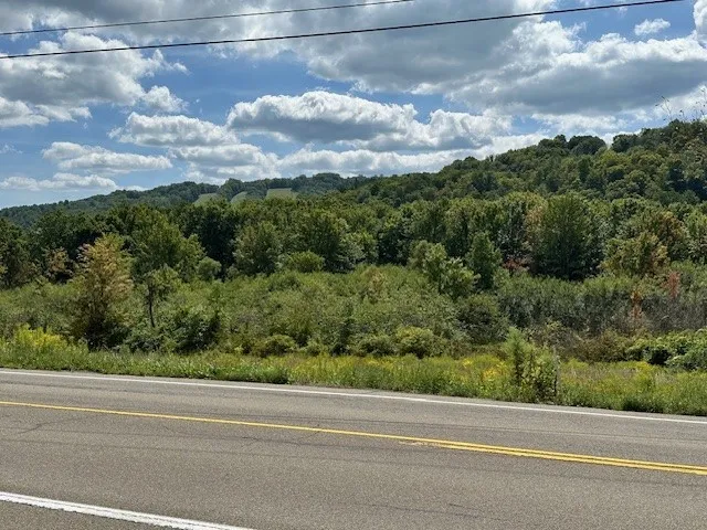 11150 State Route 70, Grove, New York 14884, Grove, New York 14884, 1 Bedroom Bedrooms, 4 Rooms Rooms,1 BathroomBathrooms,Residential,For Sale,11150 State Route 70, Grove, New York 14884,0,R1560786
