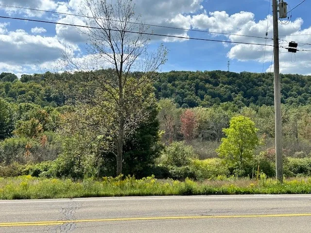 11150 State Route 70, Grove, New York 14884, Grove, New York 14884, 1 Bedroom Bedrooms, 4 Rooms Rooms,1 BathroomBathrooms,Residential,For Sale,11150 State Route 70, Grove, New York 14884,0,R1560786
