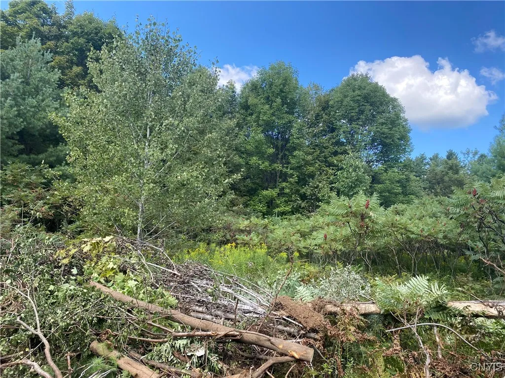 43828 Lewisburg Road, Wilna, New York 13665, Wilna, New York 13665, 2 Bedrooms Bedrooms, ,1 BathroomBathrooms,Land,Closed,43828 Lewisburg Road, Wilna, New York 13665,0,S1560940