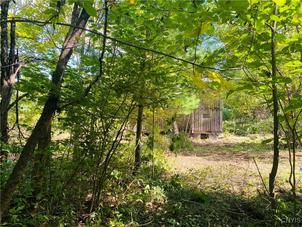 43828 Lewisburg Road, Wilna, New York 13665, Wilna, New York 13665, 2 Bedrooms Bedrooms, ,1 BathroomBathrooms,Land,Closed,43828 Lewisburg Road, Wilna, New York 13665,0,S1560940