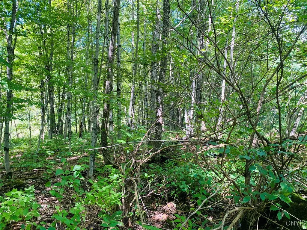 43828 Lewisburg Road, Wilna, New York 13665, Wilna, New York 13665, 2 Bedrooms Bedrooms, ,1 BathroomBathrooms,Land,Closed,43828 Lewisburg Road, Wilna, New York 13665,0,S1560940