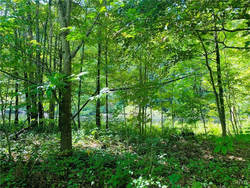 43828 Lewisburg Road, Wilna, New York 13665, Wilna, New York 13665, 2 Bedrooms Bedrooms, ,1 BathroomBathrooms,Land,Closed,43828 Lewisburg Road, Wilna, New York 13665,0,S1560940