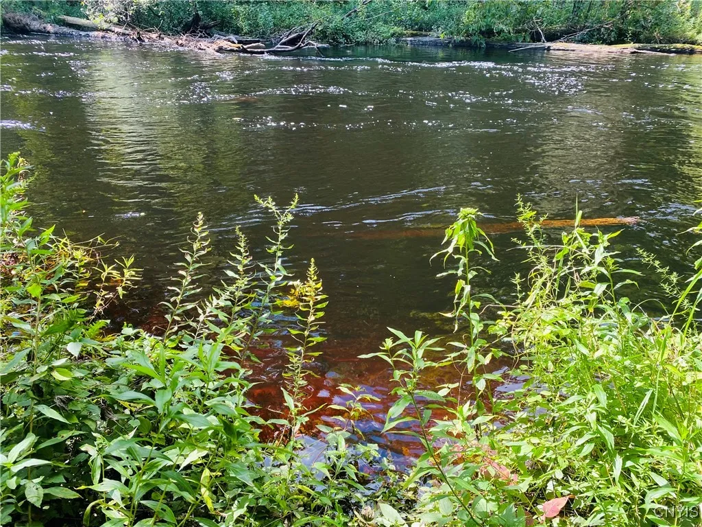 43828 Lewisburg Road, Wilna, New York 13665, Wilna, New York 13665, 2 Bedrooms Bedrooms, ,1 BathroomBathrooms,Land,Closed,43828 Lewisburg Road, Wilna, New York 13665,0,S1560940