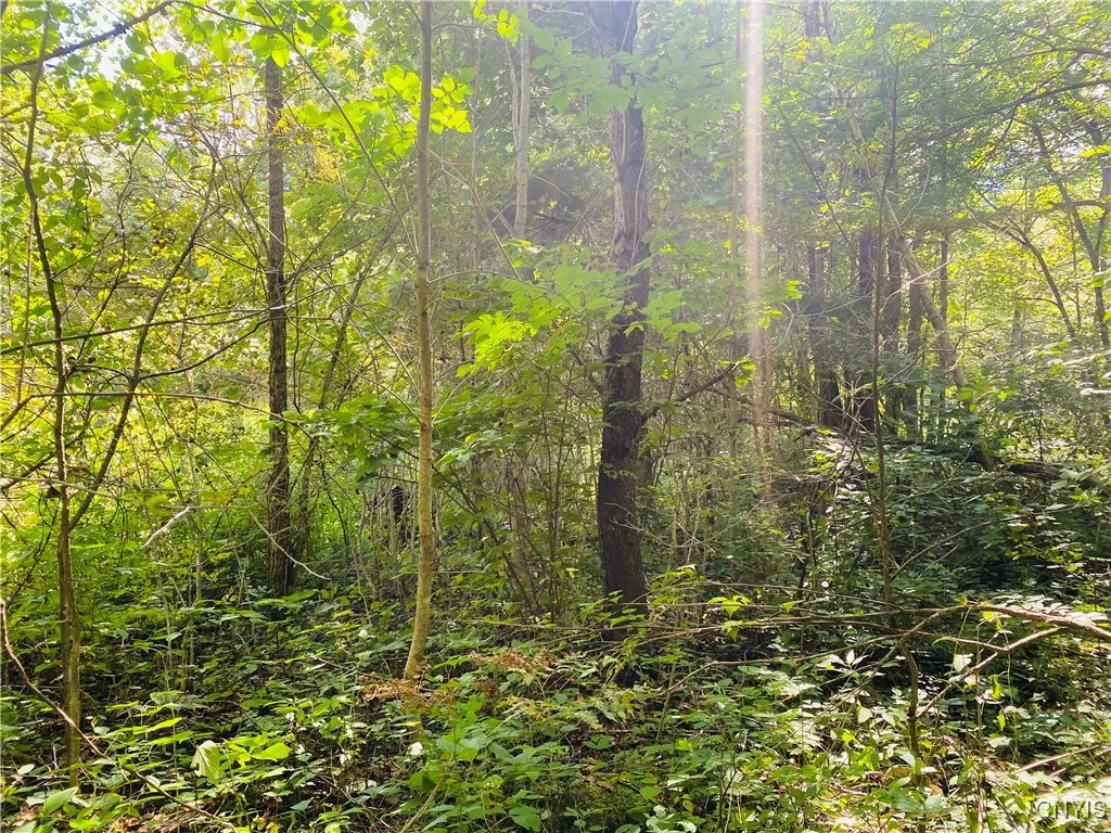 43828 Lewisburg Road, Wilna, New York 13665, Wilna, New York 13665, 2 Bedrooms Bedrooms, ,1 BathroomBathrooms,Land,Closed,43828 Lewisburg Road, Wilna, New York 13665,0,S1560940