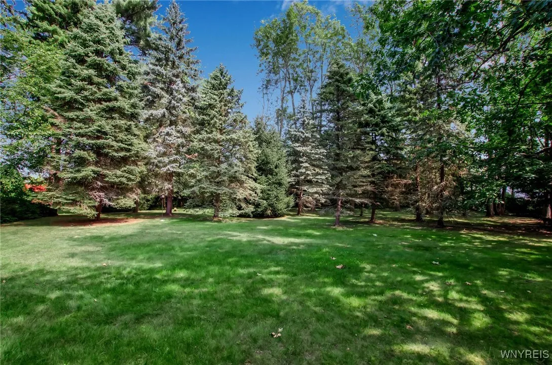 165 Breezewood, Amherst, New York 14051, Amherst, New York 14051, 3 Bedrooms Bedrooms, 5 Rooms Rooms,2 BathroomsBathrooms,Residential,Closed,165 Breezewood, Amherst, New York 14051,0,B1561436