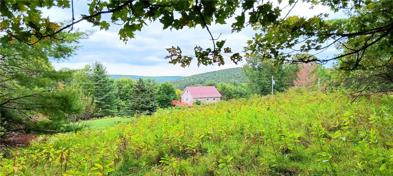 185 Eagle Mountain Road, Summit, New York 12175, Summit, New York 12175, ,Land,Closed,185 Eagle Mountain Road, Summit, New York 12175,0,R1561408