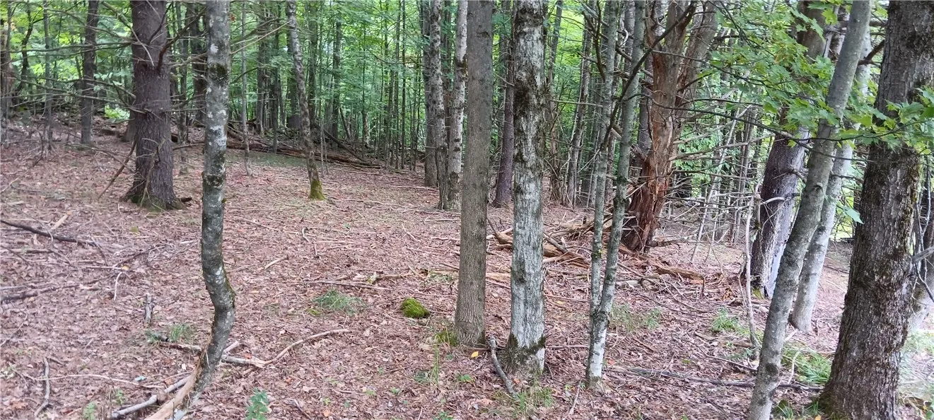 185 Eagle Mountain Road, Summit, New York 12175, Summit, New York 12175, ,Land,Closed,185 Eagle Mountain Road, Summit, New York 12175,0,R1561408