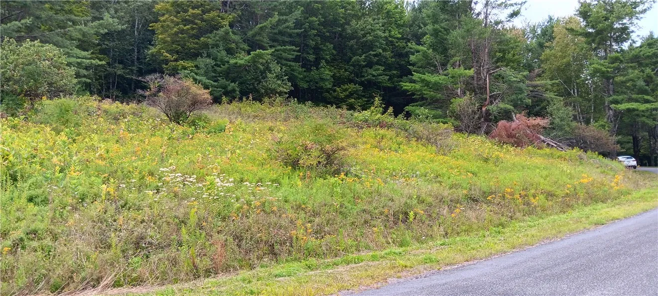 185 Eagle Mountain Road, Summit, New York 12175, Summit, New York 12175, ,Land,Closed,185 Eagle Mountain Road, Summit, New York 12175,0,R1561408
