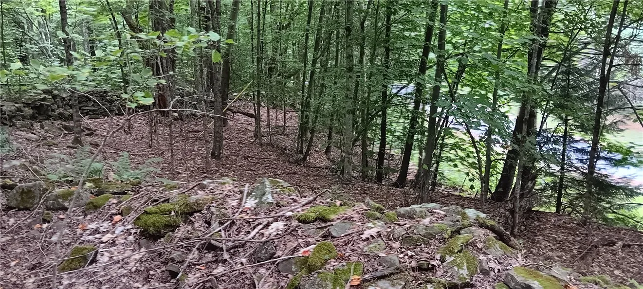 185 Eagle Mountain Road, Summit, New York 12175, Summit, New York 12175, ,Land,Closed,185 Eagle Mountain Road, Summit, New York 12175,0,R1561408