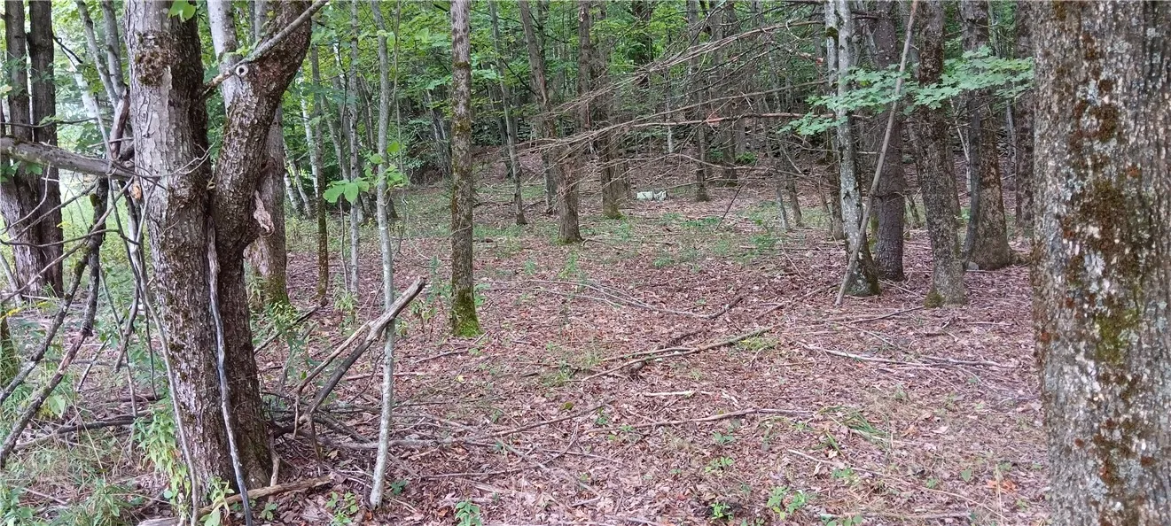 185 Eagle Mountain Road, Summit, New York 12175, Summit, New York 12175, ,Land,Closed,185 Eagle Mountain Road, Summit, New York 12175,0,R1561408