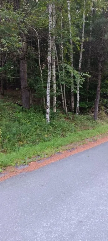 185 Eagle Mountain Road, Summit, New York 12175, Summit, New York 12175, ,Land,Closed,185 Eagle Mountain Road, Summit, New York 12175,0,R1561408