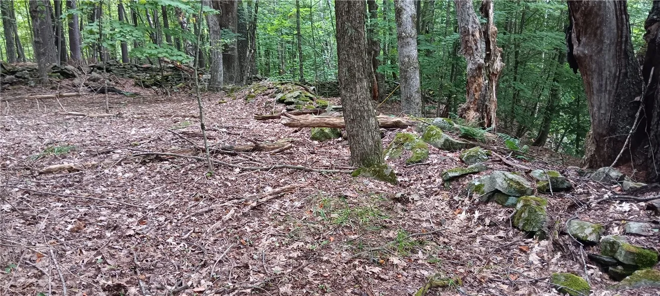 185 Eagle Mountain Road, Summit, New York 12175, Summit, New York 12175, ,Land,Closed,185 Eagle Mountain Road, Summit, New York 12175,0,R1561408