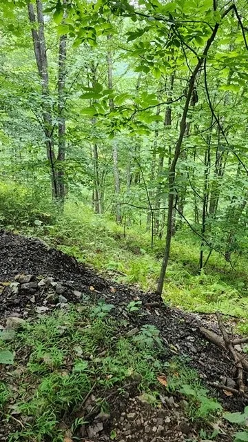 0 Mason Hill Rd./jakes Ln., Gibson, Pennsylvania 1, Gibson, Pennsylvania 15832, ,Land,For Sale,0 Mason Hill Rd./jakes Ln., Gibson, Pennsylvania 1,R1561965