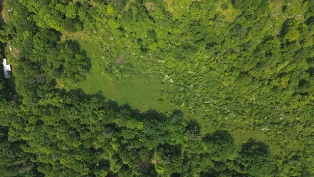 0 Mason Hill Rd./jakes Ln., Gibson, Pennsylvania 1, Gibson, Pennsylvania 15832, ,Land,For Sale,0 Mason Hill Rd./jakes Ln., Gibson, Pennsylvania 1,R1561965