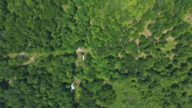 0 Mason Hill Rd./jakes Ln., Gibson, Pennsylvania 1, Gibson, Pennsylvania 15832, ,Land,For Sale,0 Mason Hill Rd./jakes Ln., Gibson, Pennsylvania 1,R1561965