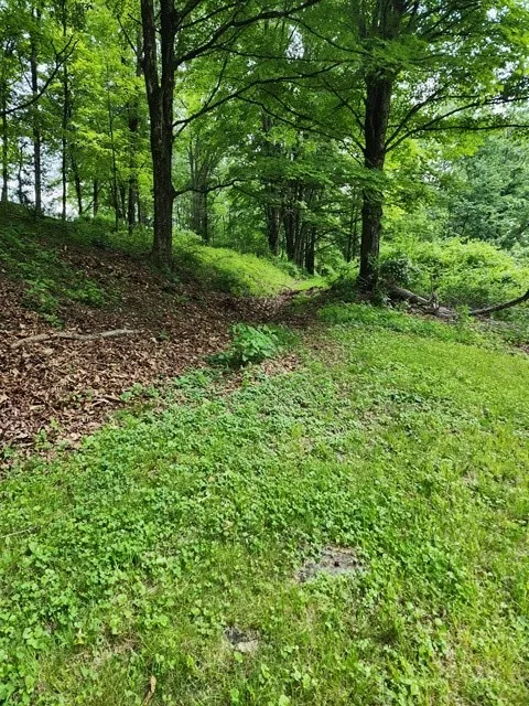 0 Mason Hill Rd./jakes Ln., Gibson, Pennsylvania 1, Gibson, Pennsylvania 15832, ,Land,For Sale,0 Mason Hill Rd./jakes Ln., Gibson, Pennsylvania 1,R1561965
