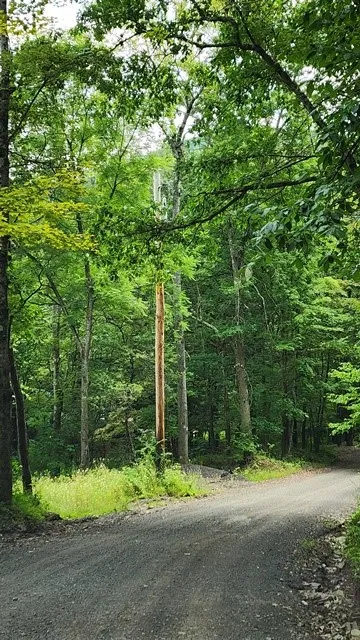 0 Mason Hill Rd./jakes Ln., Gibson, Pennsylvania 1, Gibson, Pennsylvania 15832, ,Land,For Sale,0 Mason Hill Rd./jakes Ln., Gibson, Pennsylvania 1,R1561965