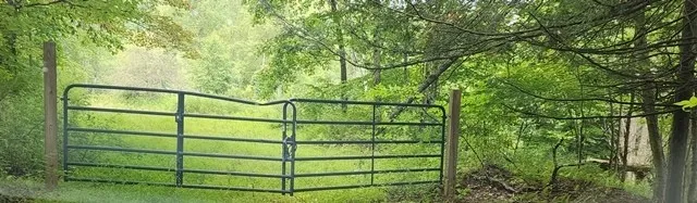 0 Mason Hill Rd./jakes Ln., Gibson, Pennsylvania 1, Gibson, Pennsylvania 15832, ,Land,For Sale,0 Mason Hill Rd./jakes Ln., Gibson, Pennsylvania 1,R1561965