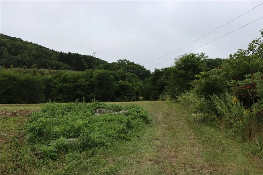 0 Rt-415, Cohocton, New York 14826, Cohocton, New York 14826, ,Land,For Sale,0 Rt-415, Cohocton, New York 14826,0,R1562384