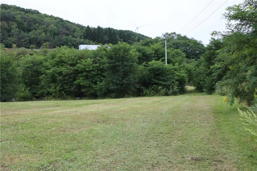 0 Rt-415, Cohocton, New York 14826, Cohocton, New York 14826, ,Land,For Sale,0 Rt-415, Cohocton, New York 14826,0,R1562384