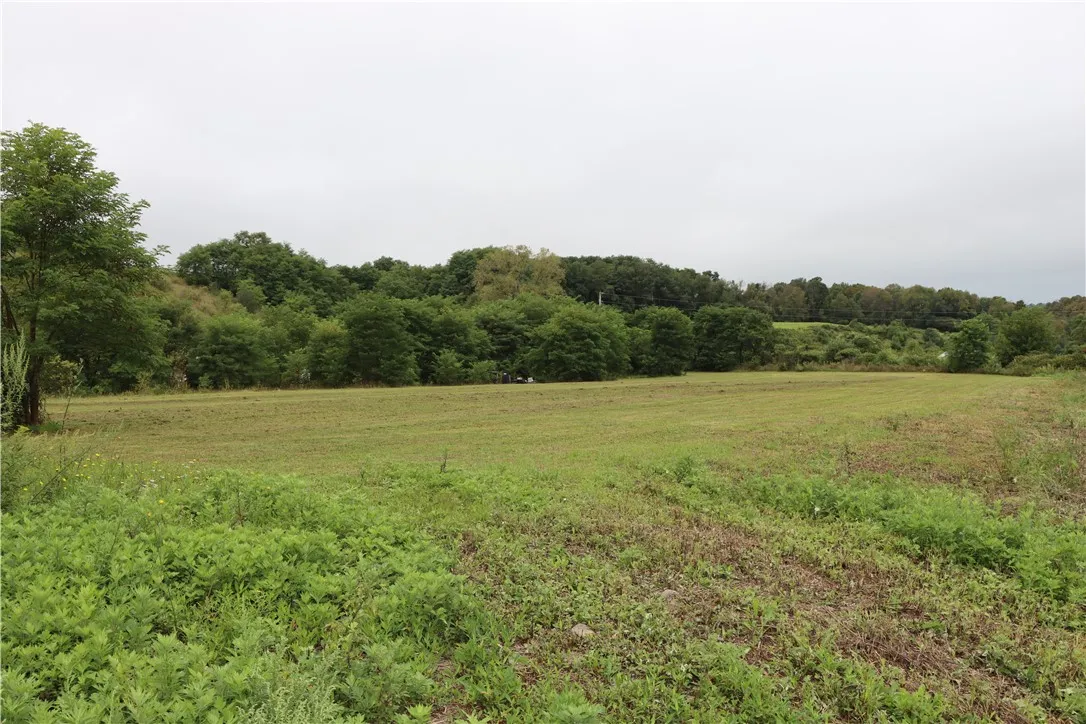 0 Rt-415, Cohocton, New York 14826, Cohocton, New York 14826, ,Land,For Sale,0 Rt-415, Cohocton, New York 14826,0,R1562384