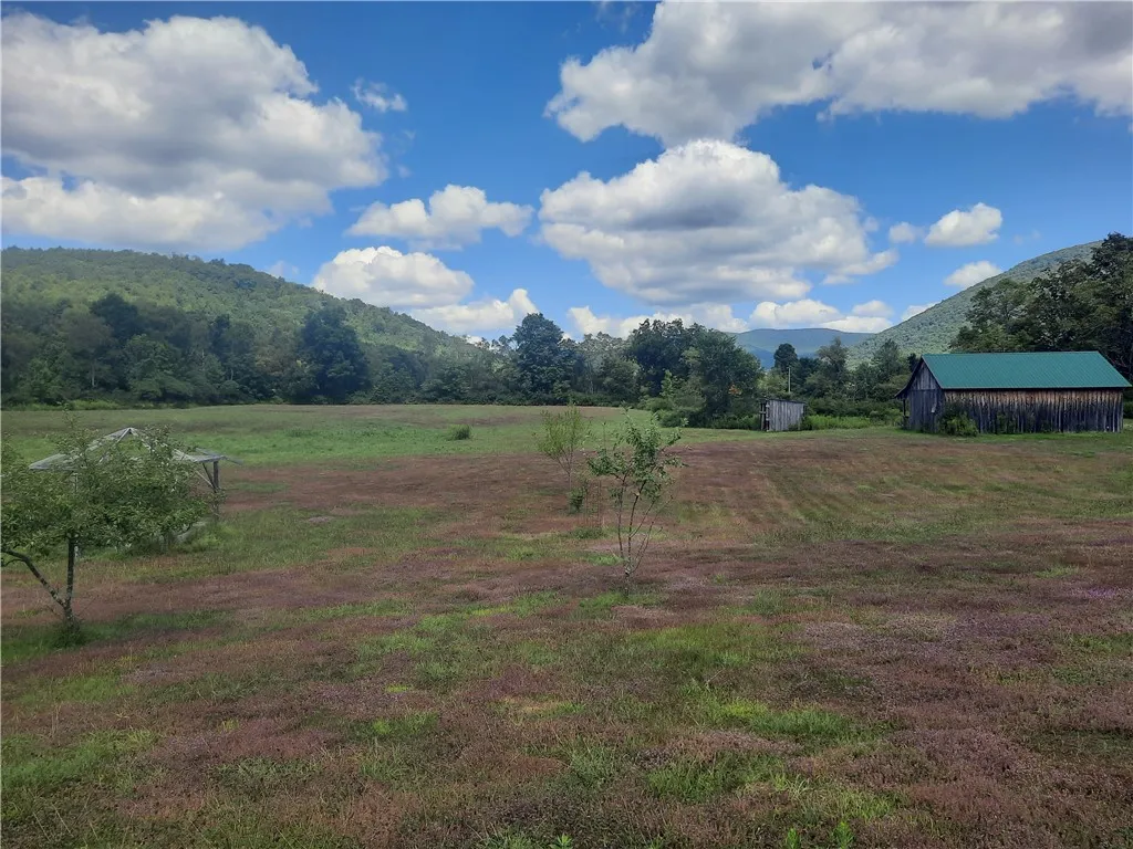 0 Roxbury-stratton Falls Road, Roxbury, New York 1, Roxbury, New York 12474, ,Land,For Sale,0 Roxbury-stratton Falls Road, Roxbury, New York 1,R1562604