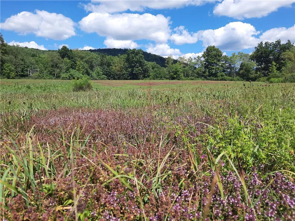 0 Roxbury-stratton Falls Road, Roxbury, New York 1, Roxbury, New York 12474, ,Land,For Sale,0 Roxbury-stratton Falls Road, Roxbury, New York 1,R1562604