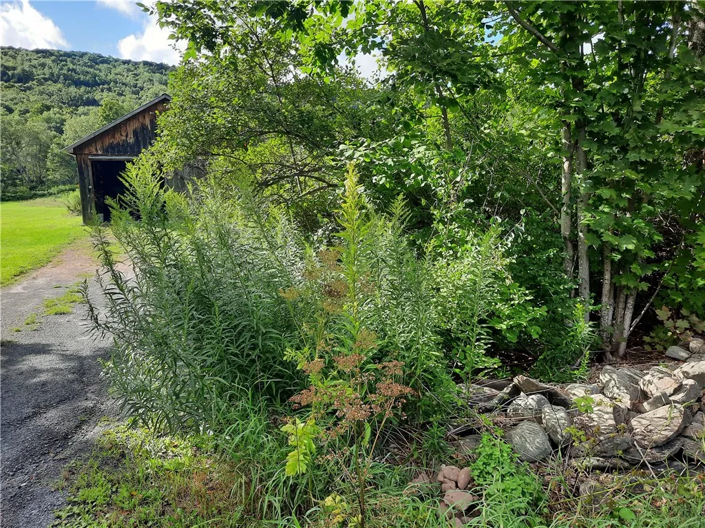 0 Roxbury-stratton Falls Road, Roxbury, New York 1, Roxbury, New York 12474, ,Land,For Sale,0 Roxbury-stratton Falls Road, Roxbury, New York 1,R1562604