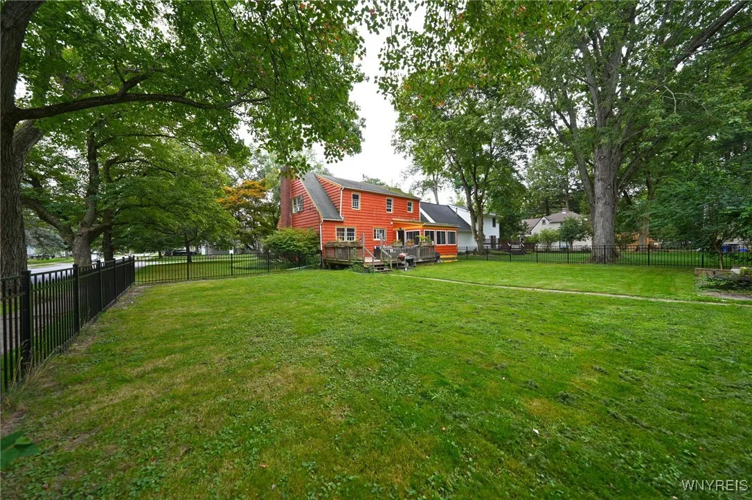 Back yard