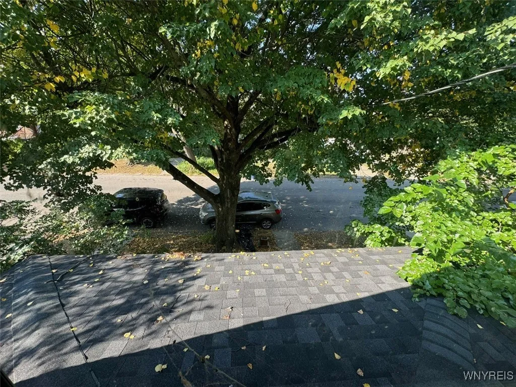 Overlooking the neighborhood from the attic window