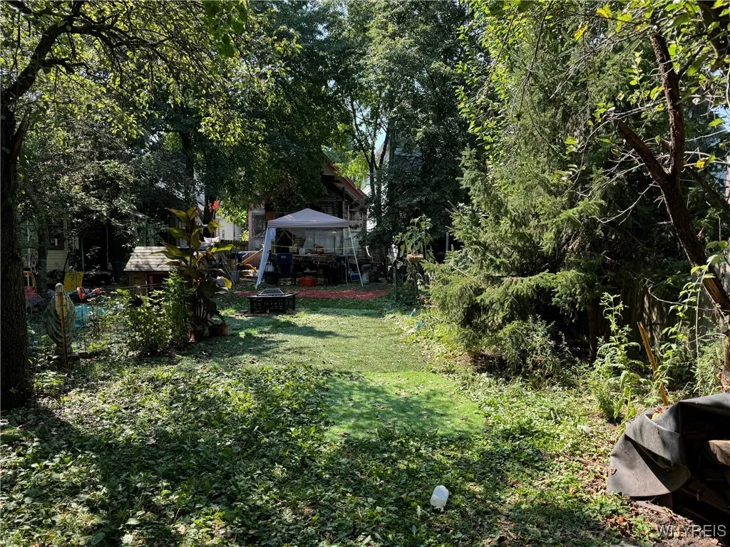 Large Back Yard has a lot of potential