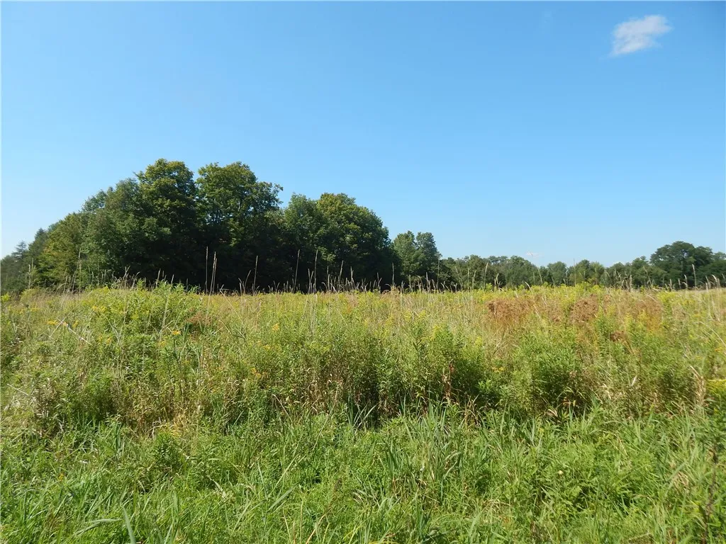 0 Sam Holdridge Road, Burlington, New York 13482, Burlington, New York 13482, ,Land,For Sale,0 Sam Holdridge Road, Burlington, New York 13482,0,R1563940