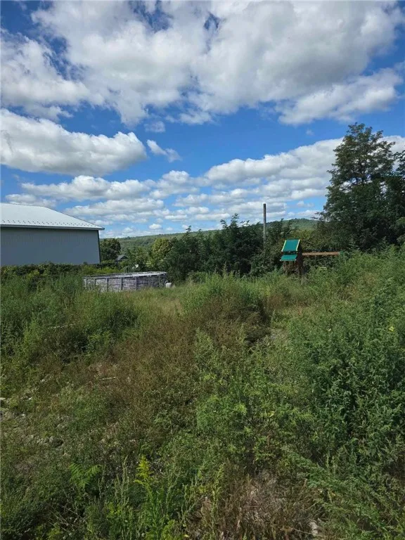 3645 County Road 32, Oxford, New York 13830, Oxford, New York 13830, 2 Bedrooms Bedrooms, ,1 BathroomBathrooms,Land,For Sale,3645 County Road 32, Oxford, New York 13830,R1564033