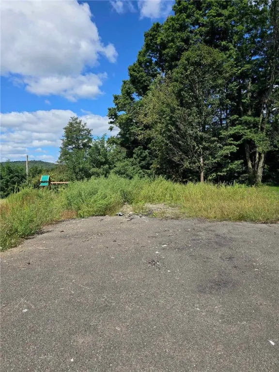 3645 County Road 32, Oxford, New York 13830, Oxford, New York 13830, 2 Bedrooms Bedrooms, ,1 BathroomBathrooms,Land,For Sale,3645 County Road 32, Oxford, New York 13830,R1564033