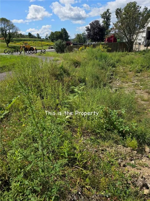 3645 County Road 32, Oxford, New York 13830, Oxford, New York 13830, 2 Bedrooms Bedrooms, ,1 BathroomBathrooms,Land,For Sale,3645 County Road 32, Oxford, New York 13830,R1564033