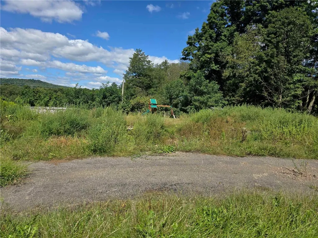 3645 County Road 32, Oxford, New York 13830, Oxford, New York 13830, 2 Bedrooms Bedrooms, ,1 BathroomBathrooms,Land,For Sale,3645 County Road 32, Oxford, New York 13830,R1564033