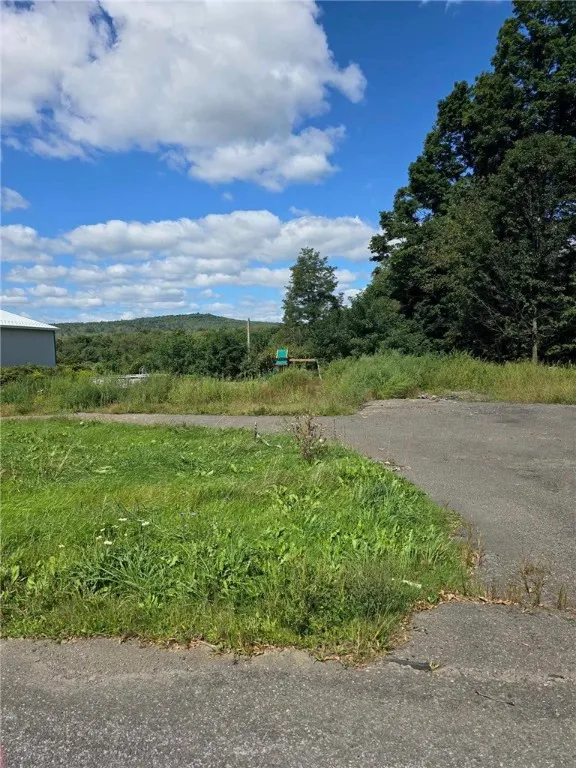 3645 County Road 32, Oxford, New York 13830, Oxford, New York 13830, 2 Bedrooms Bedrooms, ,1 BathroomBathrooms,Land,For Sale,3645 County Road 32, Oxford, New York 13830,R1564033