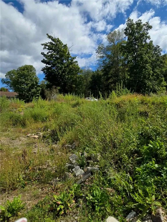 3645 County Road 32, Oxford, New York 13830, Oxford, New York 13830, 2 Bedrooms Bedrooms, ,1 BathroomBathrooms,Land,For Sale,3645 County Road 32, Oxford, New York 13830,R1564033